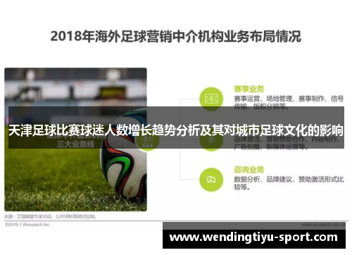 天津足球比赛球迷人数增长趋势分析及其对城市足球文化的影响